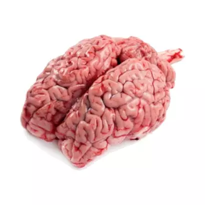 Cow Brain 1 Pcs